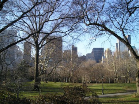 Zicht over Central Park