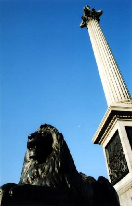 Leeuw en zuil op Trafalgar Square