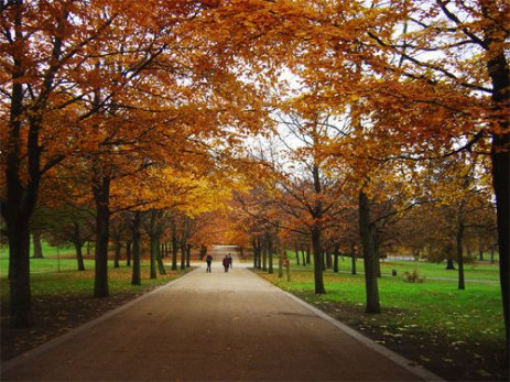 Herfst in Greenwich Park