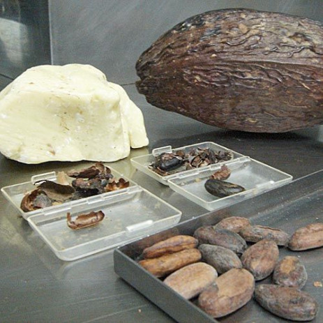 Stukken van het Museum van Cacao en Chocolade