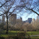 Zicht over Central Park