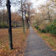 Pad in het Park Tiergarten