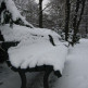Besneeuwde bank in het Park Tiergarten
