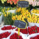 Tulpen op de Albert Cuypmarkt