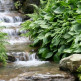 Waterval in de New York Botanical Garden